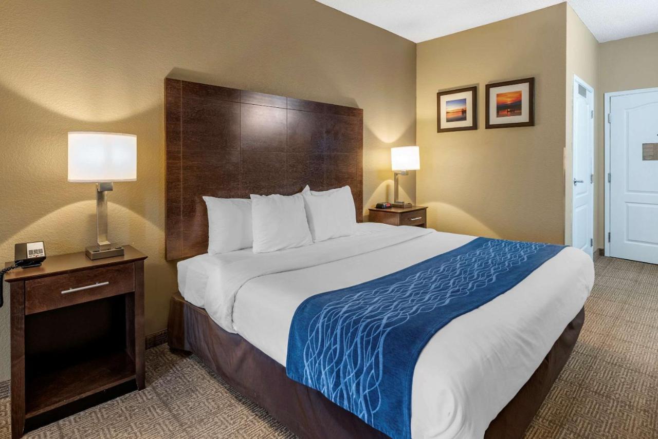 Comfort Inn & Suites Bryant - Benton Bagian luar foto